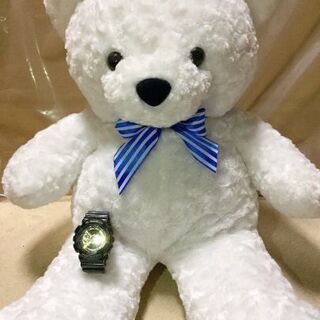 テディベア　ホワイト