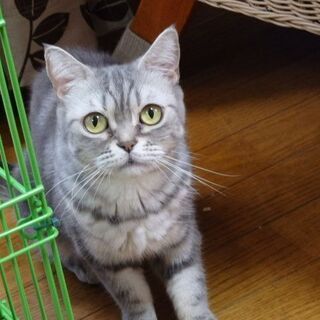一旦募集停止します。