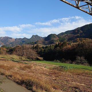 健康農産美土里農園運営業務の画像