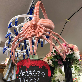 売り切れ🙏 リアルなエイリアンのオモチャあります😲 熊本リサイク...
