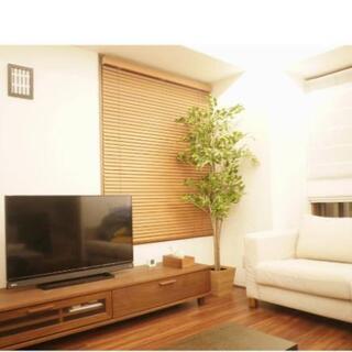 ACTUS アクタスのテレビボード☆ウォールナット