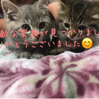 家族見つかりました。^ - ^