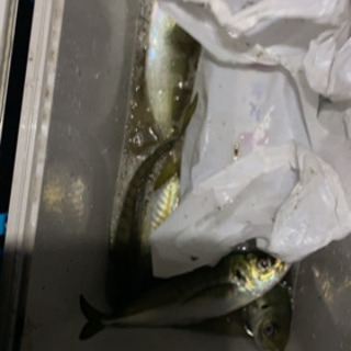 一緒に釣りに
