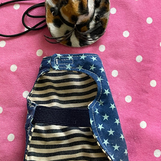 フトアゴヒゲトカゲぐらいの大きさのトカゲのマントと帽子の画像