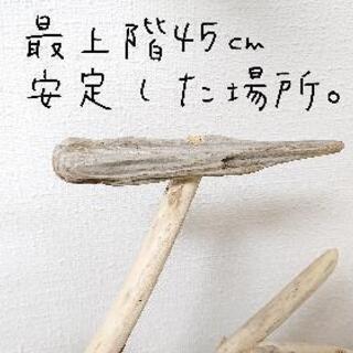 流木止まり木・バードタワーNo.⑤の画像