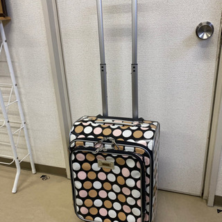 【激安中古品】OLVE des OLVE Sac キャリーバッグ