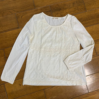 ブラウスTシャツ
