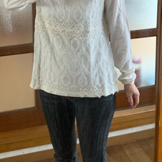 ブラウスTシャツの画像