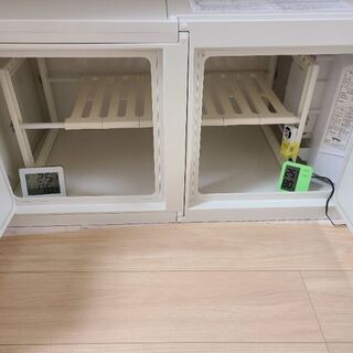 冷やし虫家HI