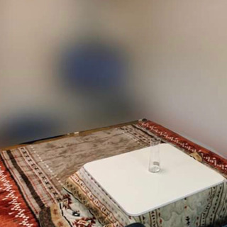 ニトリこたつ布団、こたつ織布団 NITORI kotatsu blanket and carpetの画像