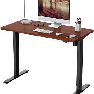 FLEXISPOT 電動式スタンディングデスク  昇降デスク E...