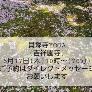 貝塚寺ヨガ🌿りんくうパークヨガ🌿の画像
