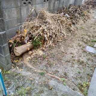 見積もり無料！　身の回りの事、ご相談乗ります