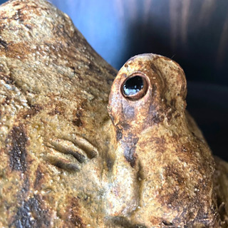 親子カエルの置物の画像
