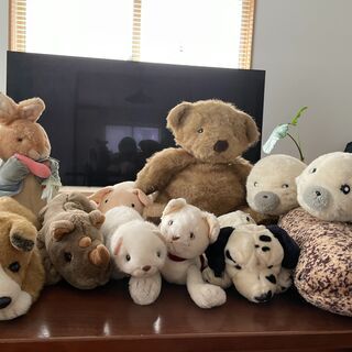 ぬいぐるみもらってください