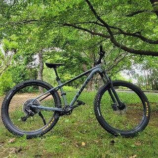 TREK Roscoe8　最終値下げ トレック ロスコ8 マウンテンバイク MTB グレー 17.5 Mサイズ　オマケ付き の画像