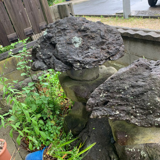 庭石　無料の画像
