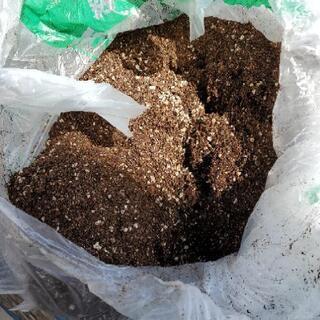植物の土、差し上げます。