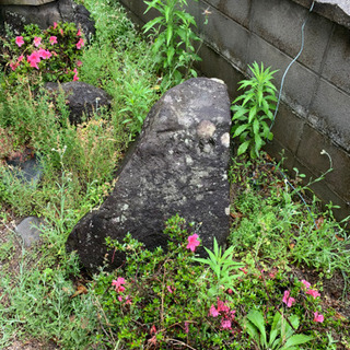 庭石　無料の画像
