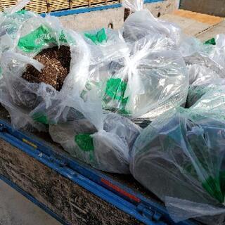 植物の土、差し上げます。の画像