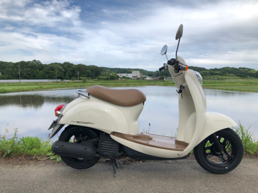 お買い上げいただきました。ありがとうございますクレアスクーピー綺麗実走行6954km