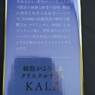 KARA酵素ドリンク　３日間断食ダイエット