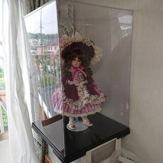 大型ドールケース  40×40×60