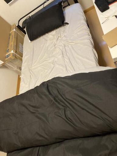 殆ど新品のシングルサイズのパイプベッドと新品のトゥルースリーパーと折り畳みマットレス付！（受付終了！）