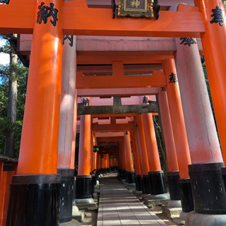 そうだ❗️下鴨神社に行こう⛩