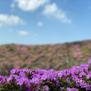 平治岳登山6月9日仲間募集