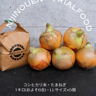 「産地直送」リピーター増えてます　送料無料　淡路産玉ねぎ・コシヒカリ米セットの画像