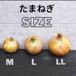 「産地直送」リピーター増えてます　送料無料　淡路産玉ねぎ・コシヒカリ米セットの画像