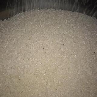 阿東米コシヒカリ白米28.5キロ 令和2年収穫 破格米です！