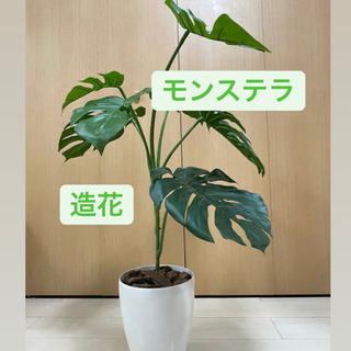 【取引先決定しました】モンステラ　造花