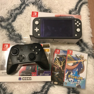 Switchライト本体