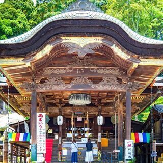 【現在4名】由加神社＆銭洗弁財天で厄除け！金運アップツアー
