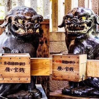 【現在4名】由加神社＆銭洗弁財天で厄除け！金運アップツアー - イベント