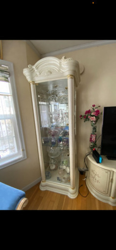 サルタレッリ　フローレンス  キュリオケース