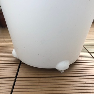 柱サボテン三本＋車輪付き鉢の画像