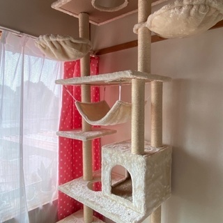 キャットタワー　美品　天井　突っ張り