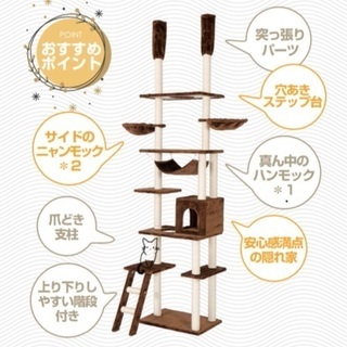 キャットタワー　美品　天井　突っ張りの画像