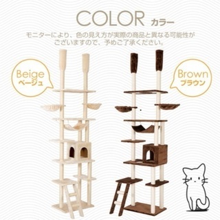 キャットタワー　美品　天井　突っ張りの画像