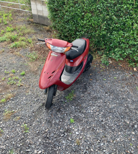 ホンダ　ライブディオ　原付　バイク　50cc   車体