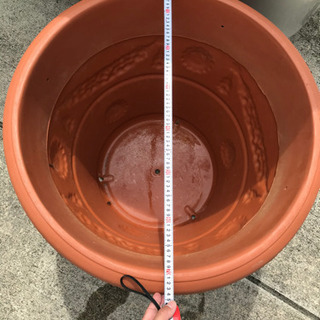 シンボルツリーに^ ^　プラスチック大鉢　高60㎝　直径75㎝　