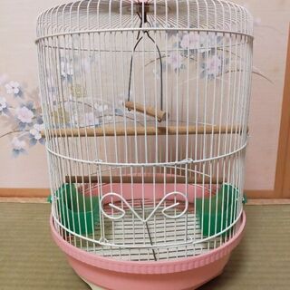 鳥かごの画像