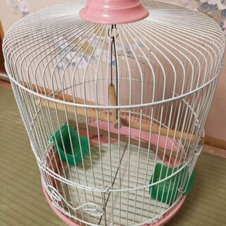 鳥かごの画像