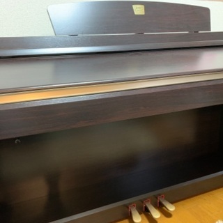 クラビノーバCLP230