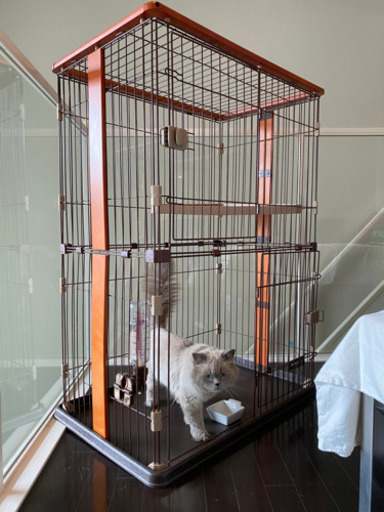 ★ボンビアルコン 猫ケージ 2段 天然木枠★
