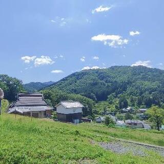 腰の怪我をしました。草刈りを手伝ってください。