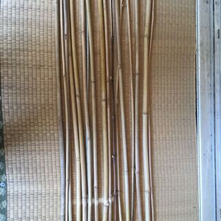 園芸用の支柱にどうでしょう　無料